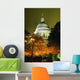 St Paul's Cathedral At Night With Trees Wall Mural
