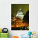 St Paul's Cathedral At Night With Trees Wall Mural