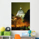 St Paul's Cathedral At Night With Trees Wall Mural