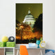 St Paul's Cathedral At Night With Trees Wall Mural
