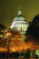 St Paul's Cathedral At Night With Trees Wall Mural