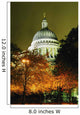 St Paul's Cathedral At Night With Trees Wall Mural