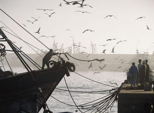 Man Throwing Rope To People On Dockside Of Harbor At Dusk Wall Mural