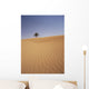 Solitary Date Palm Tree In The Sand Dunes, Tinfou Near Zagora Wall Mural