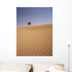 Solitary Date Palm Tree In The Sand Dunes, Tinfou Near Zagora Wall Mural