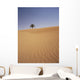 Solitary Date Palm Tree In The Sand Dunes, Tinfou Near Zagora Wall Mural