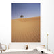 Solitary Date Palm Tree In The Sand Dunes, Tinfou Near Zagora Wall Mural