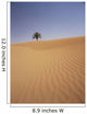 Solitary Date Palm Tree In The Sand Dunes, Tinfou Near Zagora Wall Mural