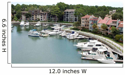 Hilton Head Islands Wall Mural