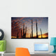 Cardon Cacti At Sunset Wall Mural