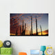 Cardon Cacti At Sunset Wall Mural