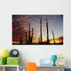 Cardon Cacti At Sunset Wall Mural
