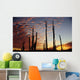 Cardon Cacti At Sunset Wall Mural