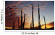 Cardon Cacti At Sunset Wall Mural