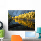 Autumn Color Yosemite Wall Decal Design 2