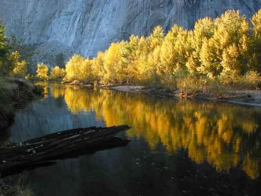 Autumn Color Yosemite Wall Mural