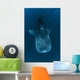 Requin baleine dans le bleu Wall Mural