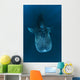 Requin baleine dans le bleu Wall Mural