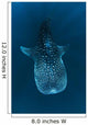 Requin baleine dans le bleu Wall Mural
