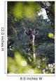 Giraffe As Seen Looking Through Trees, Namibia Wall Mural