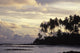 Silhouetted Palm Trees Over Beach At Sunset Wall Mural