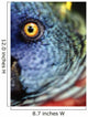 Parrot, Close Up Wall Mural