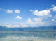 Flamingos In Lake Ngorongoro Wall Mural
