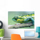 Chameleon In The Forests Of Mt Meru, Close Up Wall Mural