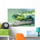 Chameleon In The Forests Of Mt Meru, Close Up Wall Mural