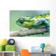 Chameleon In The Forests Of Mt Meru, Close Up Wall Mural