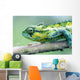 Chameleon In The Forests Of Mt Meru, Close Up Wall Mural