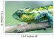 Chameleon In The Forests Of Mt Meru, Close Up Wall Mural