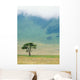 Ngorongoro Crater Wall Mural