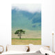 Ngorongoro Crater Wall Mural