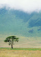 Ngorongoro Crater Wall Mural