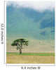 Ngorongoro Crater Wall Mural
