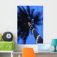 Palm Tree With Fairy Lights, Blurred Motion Wall Mural