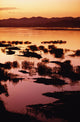 Sunset Over The Mekong River Wall Mural