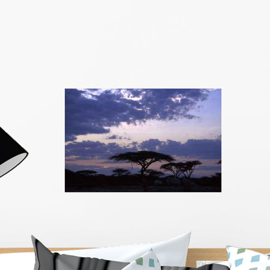 Trees Sunset Wall Decal