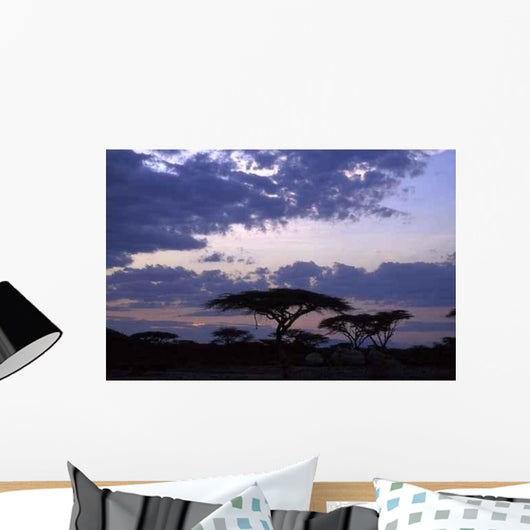 Trees Sunset Wall Decal