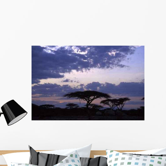 Trees Sunset Wall Decal