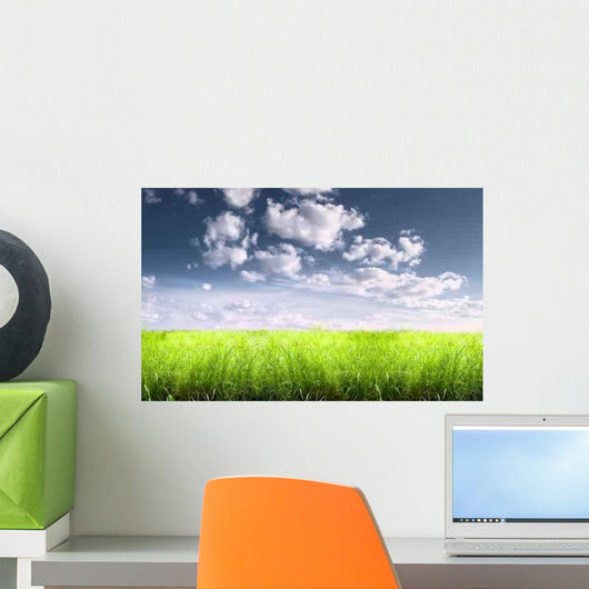 Bright Sunny Summer Meadow Wall Decal