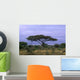 Acacia Tree Wall Decal