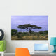 Acacia Tree Wall Decal