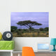 Acacia Tree Wall Decal
