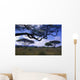 Acacias Wall Decal