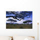 Acacias Wall Decal