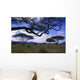 Acacias Wall Decal