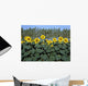 Sunflowers Wall Mural