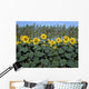 Sunflowers Wall Mural